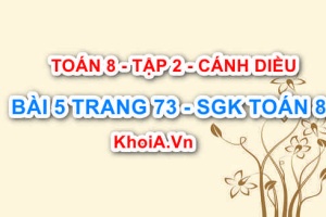 Bài 5 trang 73 Toán 8 Cánh Diều Tập 2
